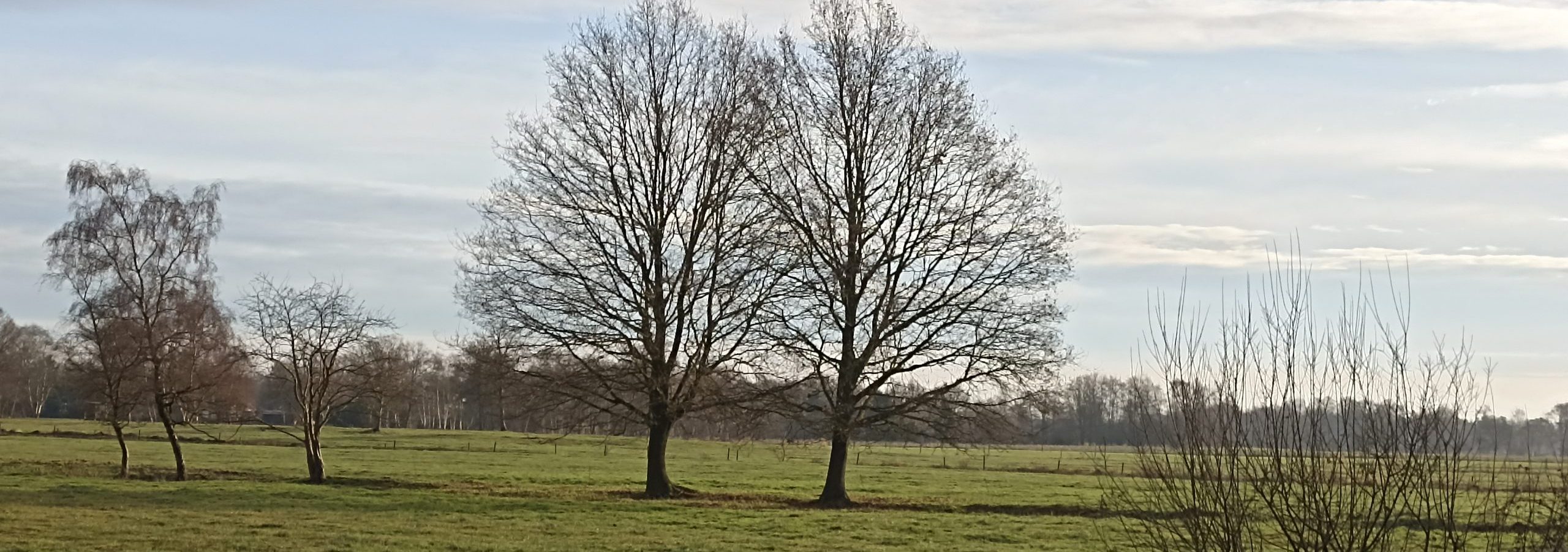 Ein Hauch von Frühling