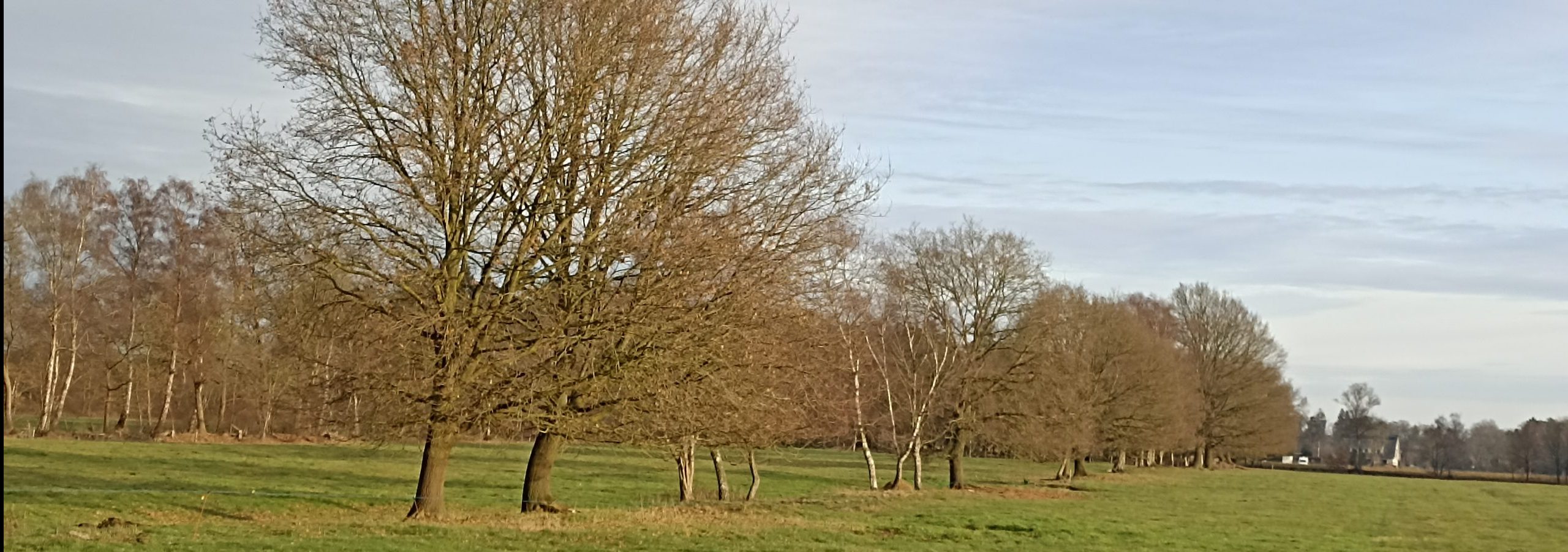 es gibt auch sonnige Abschnitte